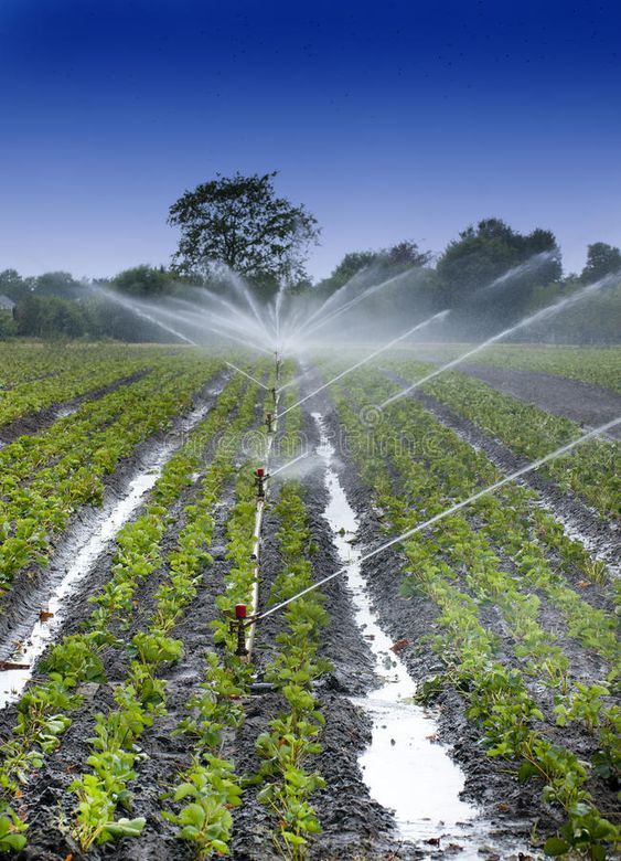 Irrigation